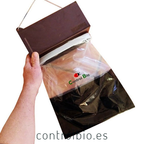 TRAMPA G procesionaria del pino