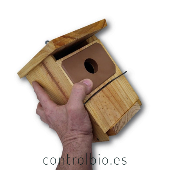 Caja nido icona
