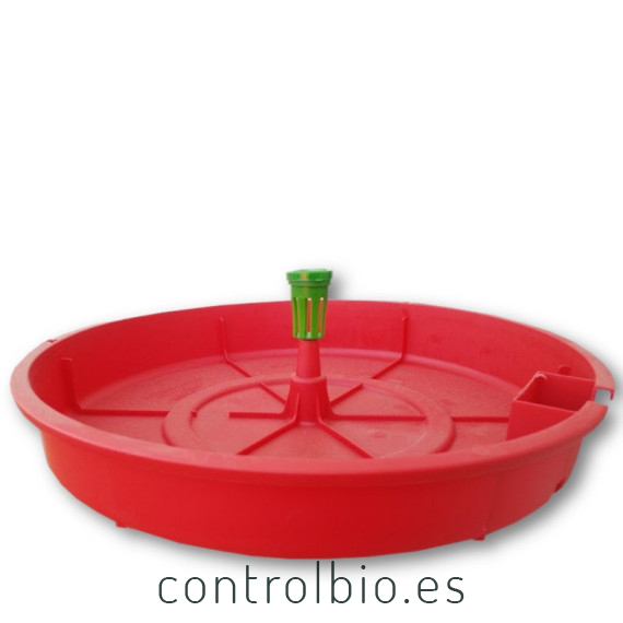 TUTASAN  trampa de agua para  Tuta absoluta