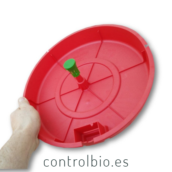 TUTASAN  trampa de agua para  Tuta absoluta