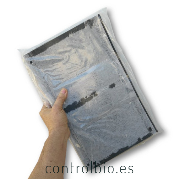 PLACA cromática negra 40 x 25 cm individual