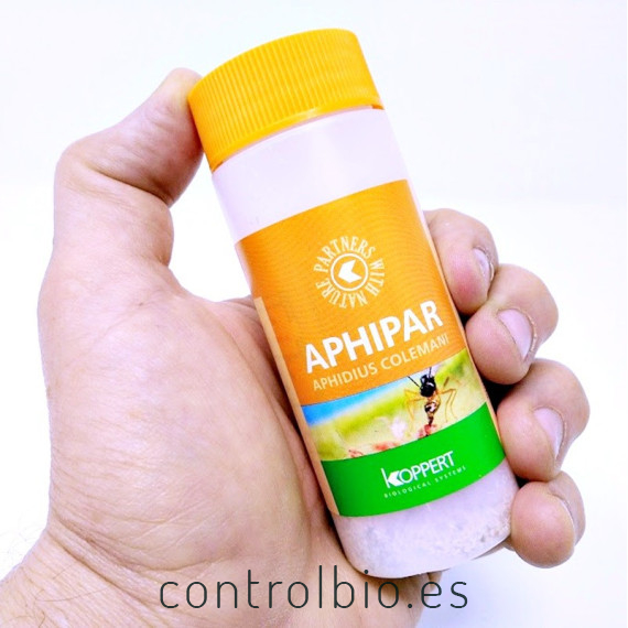 aphipar 500 koppert
