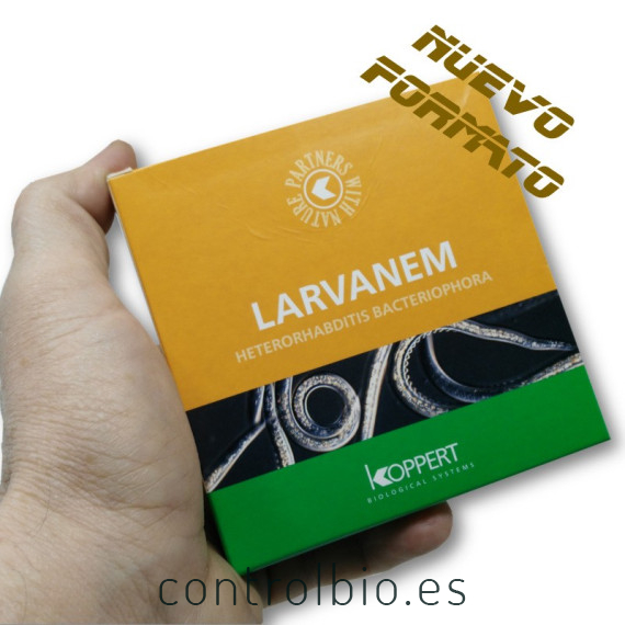 Larvanem koppert heterorhabditis