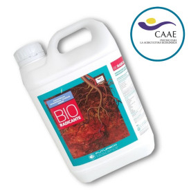 BIORADICANTE 5L aminoácidos con microelementos
