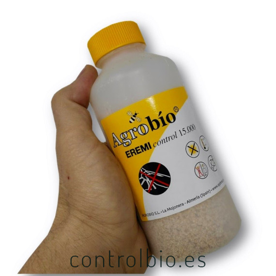 EREMIcontrol 15.000 Eretmocerus eremicus parásito de mosca blanca
