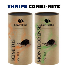 THRIPS COMBI-MITE 50000