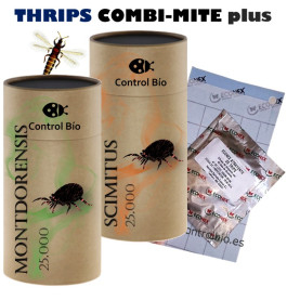 THRIPS COMBI-MITE plus Montdorensis + Scymitus + atrayente kit
