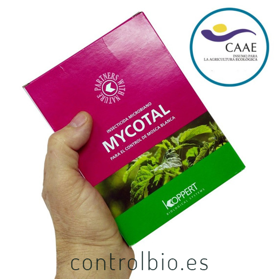 mycotal koppert insecticida microbiano