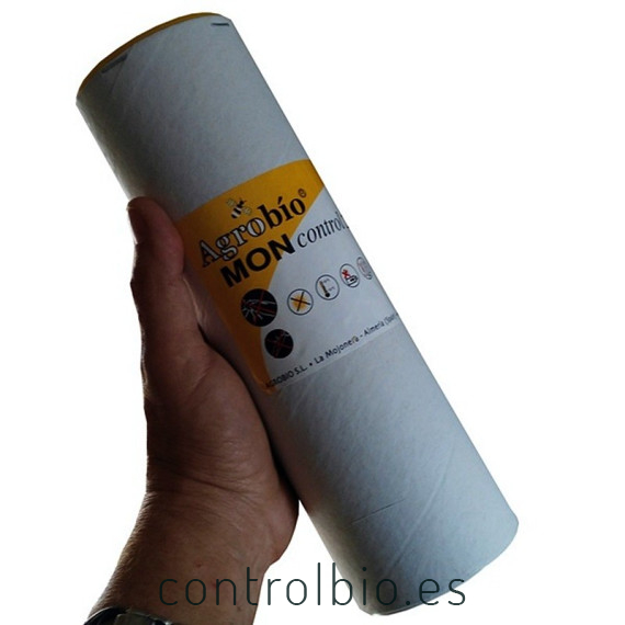 MONCONTROL 125000 Amblyseius montdorensis