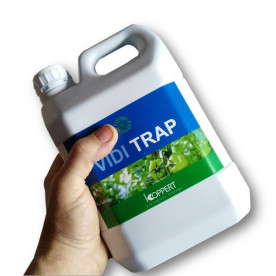 vidi trap koppert alginato