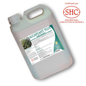 ALGAPLANT 5L extracto de algas