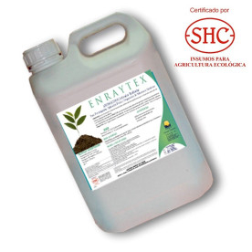 ENRAYTEX 5L Activador radicular