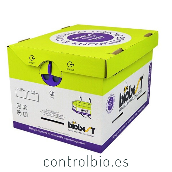 COLMENA BIOBEST Abejorros polinizadores