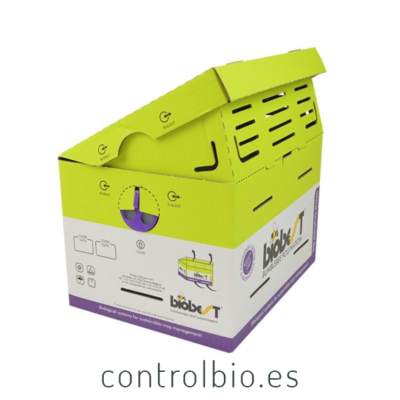 COLMENA BIOBEST Abejorros polinizadores