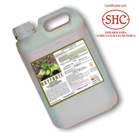 BioRAIFORTE 5L Aminoácidos activador radicular