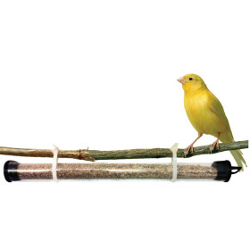 PREVORUS X 3 Ud, tubo dispensador de ANDROLIS Y TAURRUS