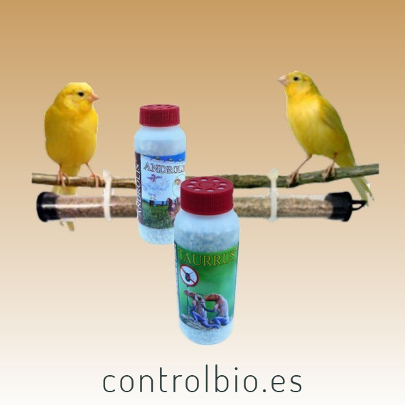 PREVORUS X 3 Ud, tubo dispensador de ANDROLIS Y TAURRUS