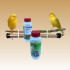 PREVORUS X 3 Ud, tubo dispensador de ANDROLIS Y TAURRUS