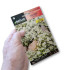 LOBULARIA MARITIMA sobre de 1 gramo