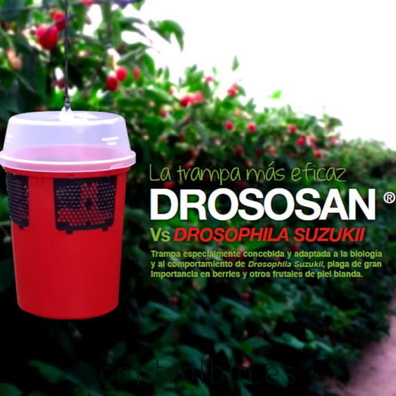 DROSOSAN mosquero para Drosophilla suzukii