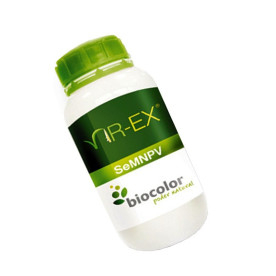 VIR-EX contra Spodoptera exigua