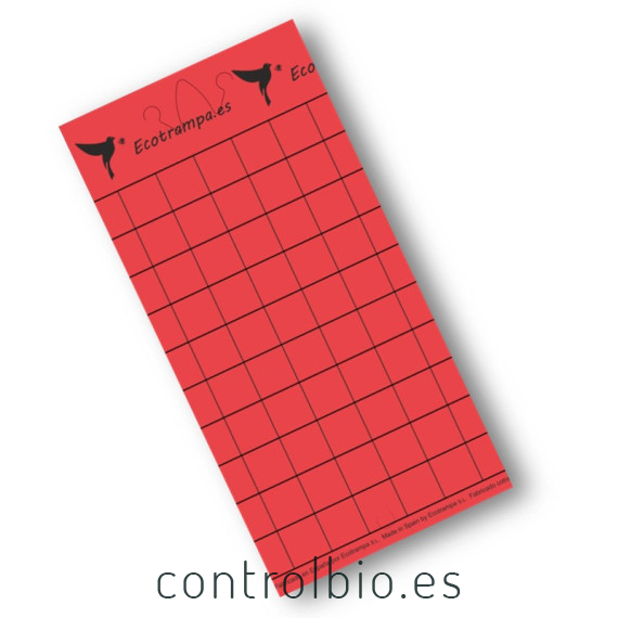 PLACA ROJA individual 15x30 cm (50 Ud)