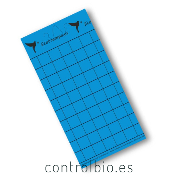 PLACA AZUL 15 x 30 cm individual