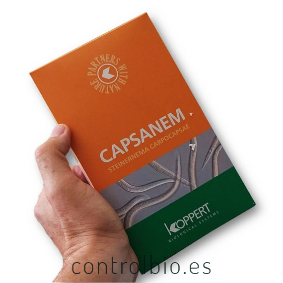 capsanem steinernema carpocapsae koppert