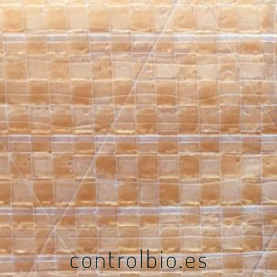 Parche Green Easy-Big para plástico 50 Ud