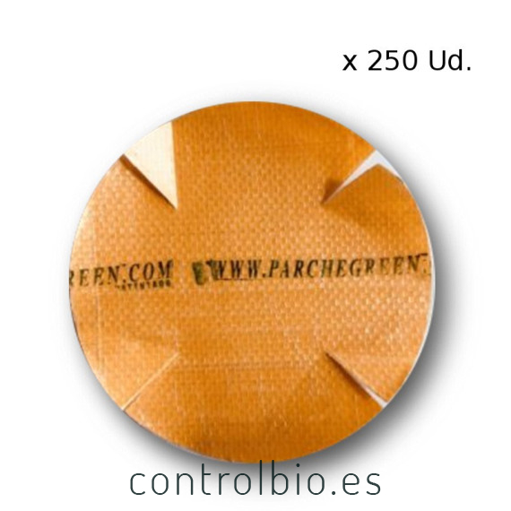 Parche Green Easy-Big para plástico 50 Ud