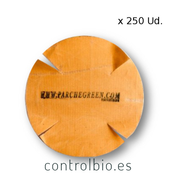 PARCHEGREEN EASY-BIG PARA MALLA BLANCA 250 Ud