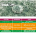 TRIANUM-P / 500 g Fungicida biológico