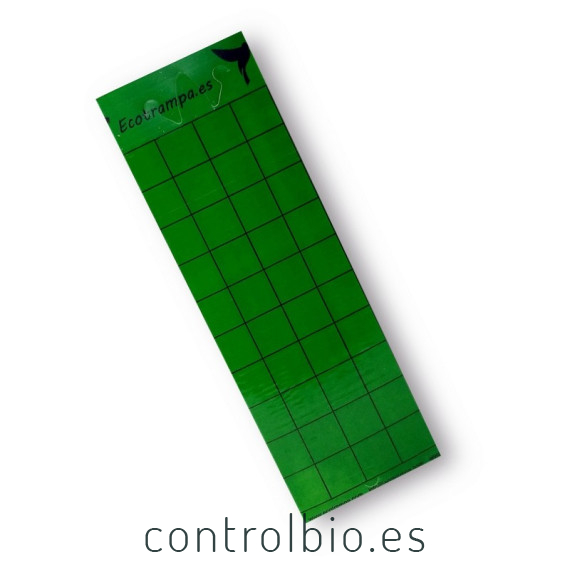 PLACA VERDE 10 x 30 cm individual