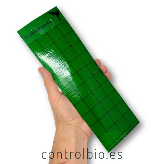 PLACA VERDE 10 x 30 cm individual