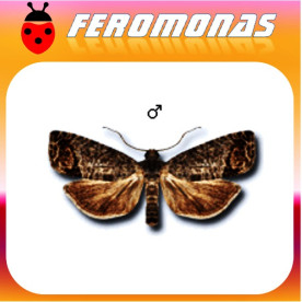 CYDIA  POMONELLA 10 Mg 90 días Carpocapsa