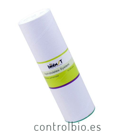 APHIDOLETES SYSTEM 10.000 depredador de pulgones