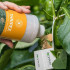 thripex koppert cucumeris