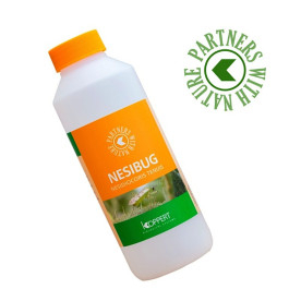 nesibug 1000 koppert nesidiocoris