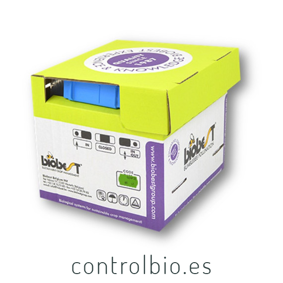 MINI HIVE Colmena Biobest