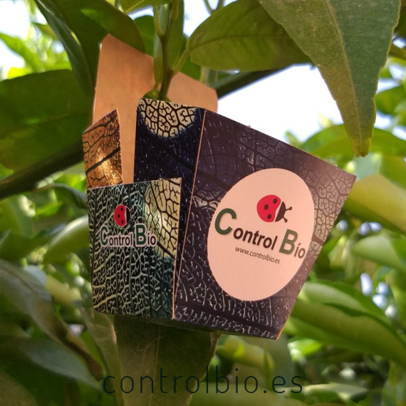 biobox