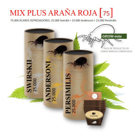 MIX PLUS [70] ARAÑA ROJA / CÓCTEL ESPECIAL DE ÁCAROS DEPREDADORES