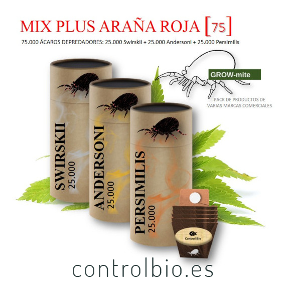 MIX PLUS [70] ARAÑA ROJA / CÓCTEL ESPECIAL DE ÁCAROS DEPREDADORES