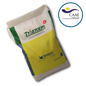 TRIANUM-P / 5000 g Trichoderma harzianum Fungicida biológico