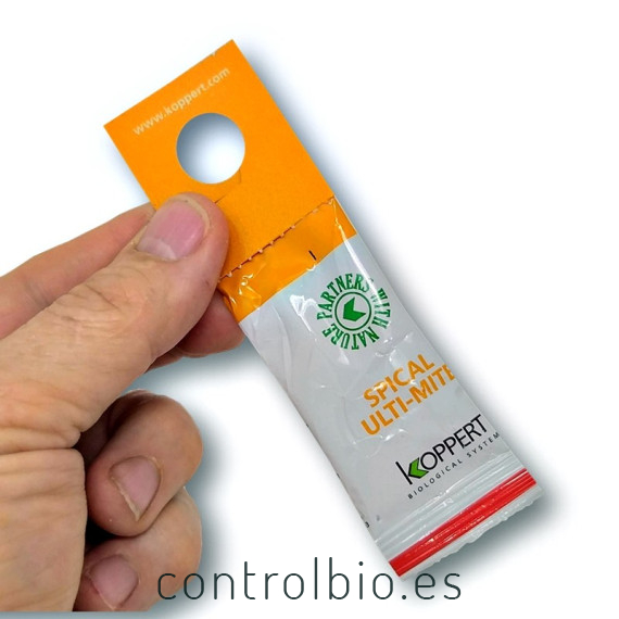 Spical plus 10 sobres Californicus koppert
