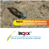 IROXX 5Kg control ecológico de caracoles y babosas
