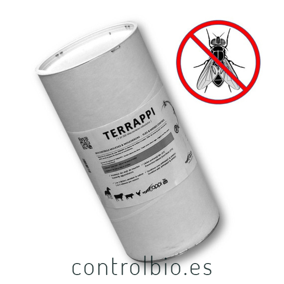 TERRAPI ácaro depredador de suelo