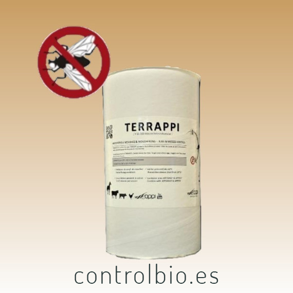 TERRAPI ácaro depredador de suelo