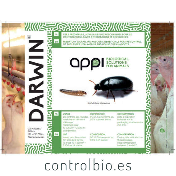 DARWIN 250 enemigo natural de Alphitobius