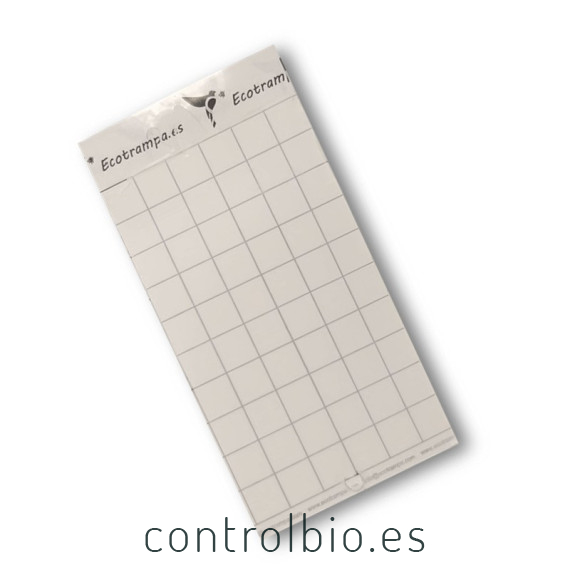 PLACA BLANCA 10 x 30 cm individual