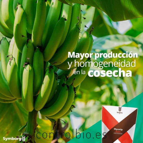 Mycoup micorrizas symborg